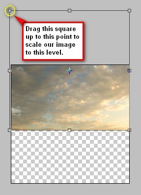 step2b_transform_resize