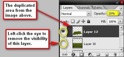 step4e_layer_window