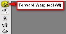 step4j_forward_warp_tool