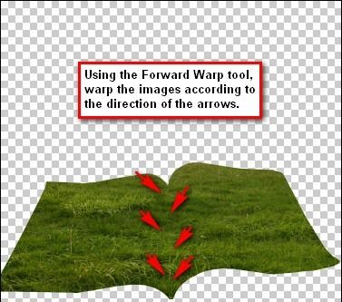 step4L_warp_process