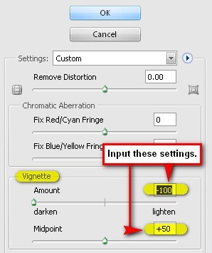 step6a_vignette_settings