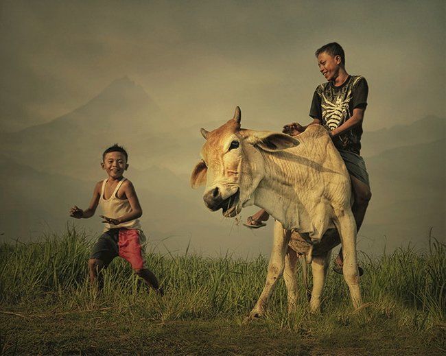 Teuku Jody Zulkarnaen,摄影作品欣赏,摄影师,风景摄影作品,摄影作品,印度